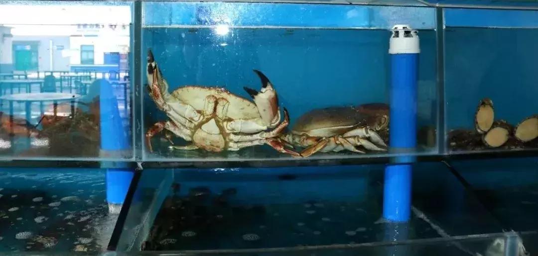 大泉沟海鲜美食街,大泉沟美食街7号