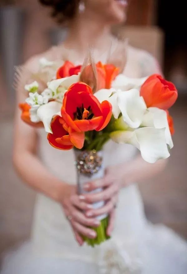 珍稀马蹄莲,如何让马蹄莲一年四季都活着