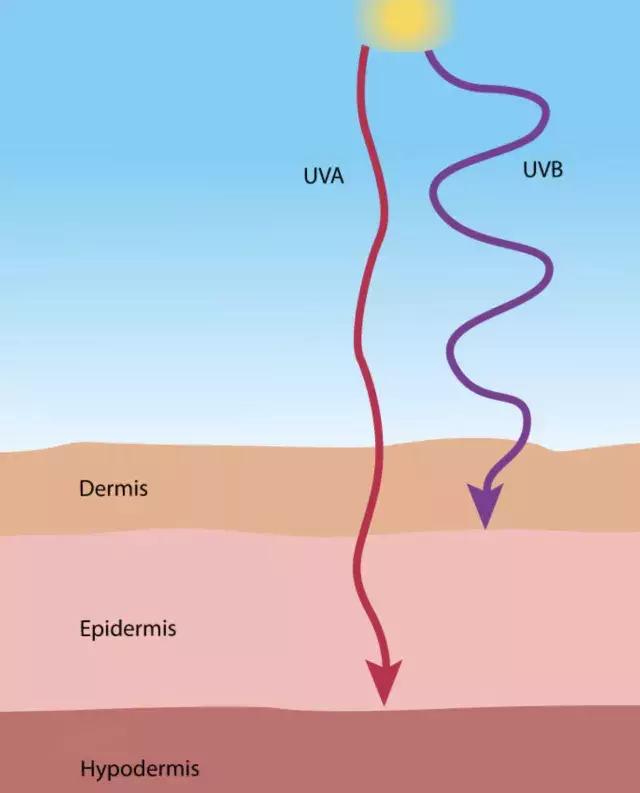 9款防晒霜测评,16款自用防晒霜测评买对不买贵