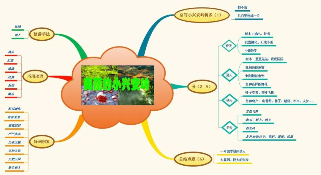 三年级语文1-4单元思维导图大全,三年级语文第一单元思维导图8k纸