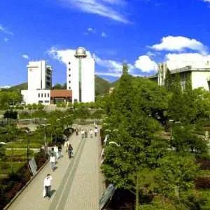 邵阳换新名片了！快传递出去~为你带来更多的人脉、财脉！