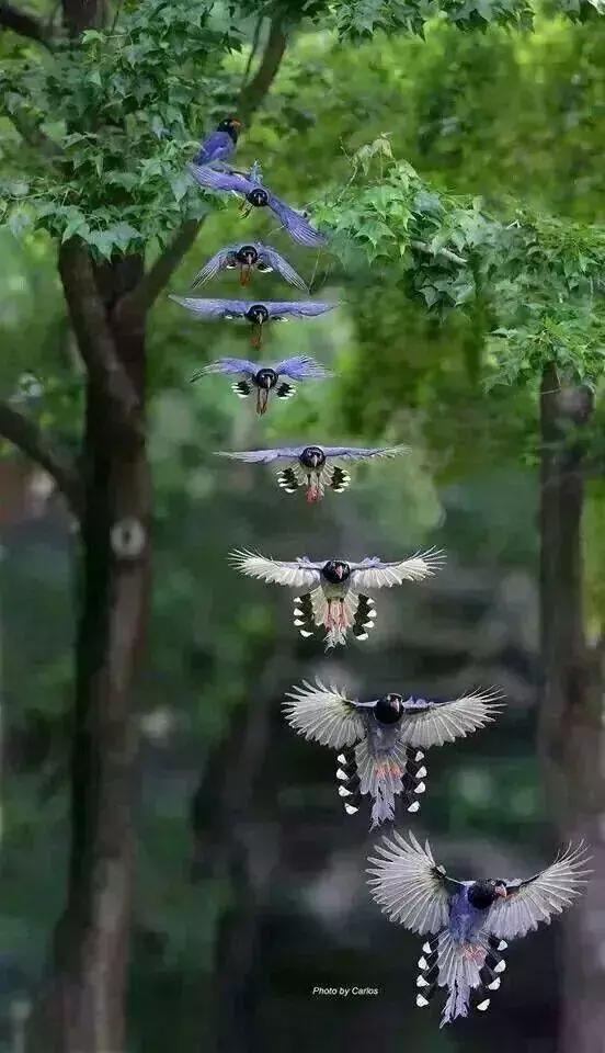 超有气氛的集体照图片,刚拍的你从未见过的集体照