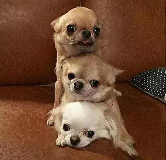 刚拍的你从未见过的集体照,史上最全的集体照