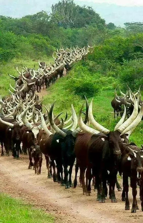 超有气氛的集体照图片,刚拍的你从未见过的集体照