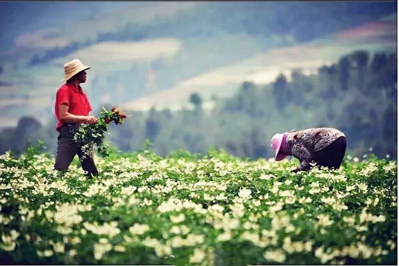 昆明国庆假期自驾游攻略,五一昆明最适合去的地方