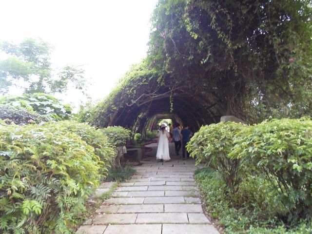 深圳海上田园怎么样,深圳海上田园景区