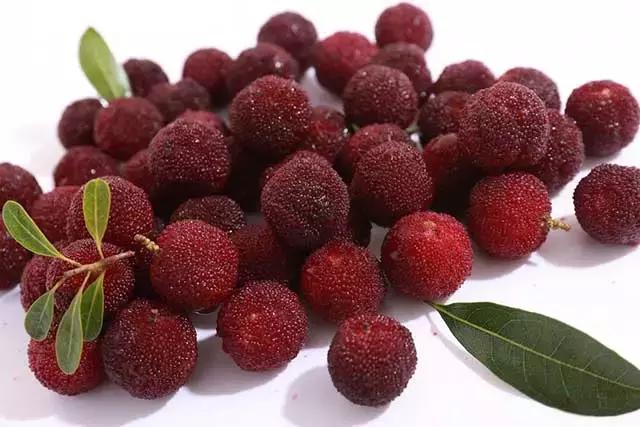 杨梅有虫子正常吗要怎么吃,每个杨梅都有虫子