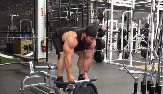 t杠划船什么动作可以代替,t杠划船练背用什么代替