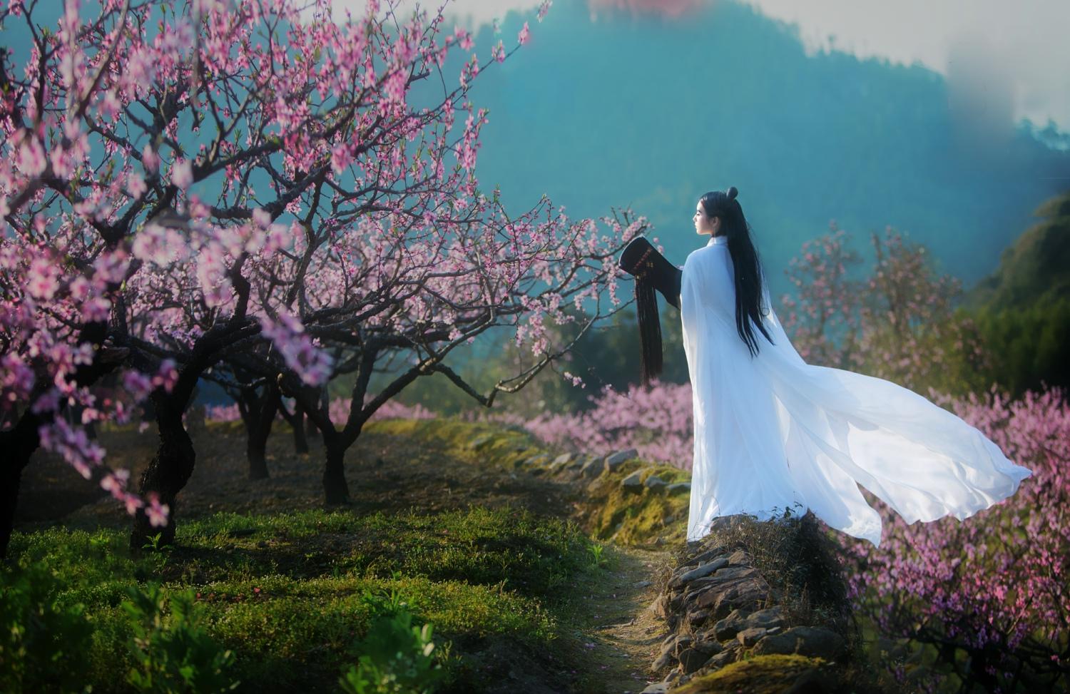 崔护与他的桃花缘 (崔护的桃花缘完整版)