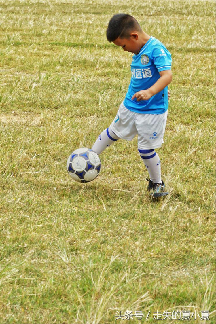 摄影：菠萝油王子