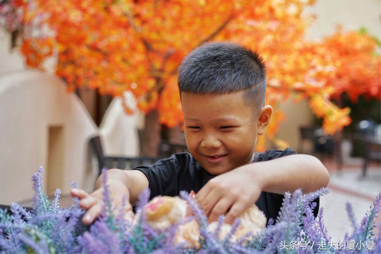 摄影：菠萝油王子