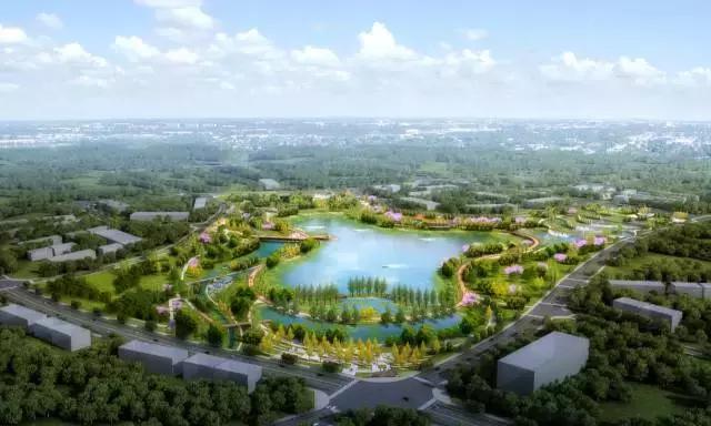 双流县十大美女,双流区漂亮美女