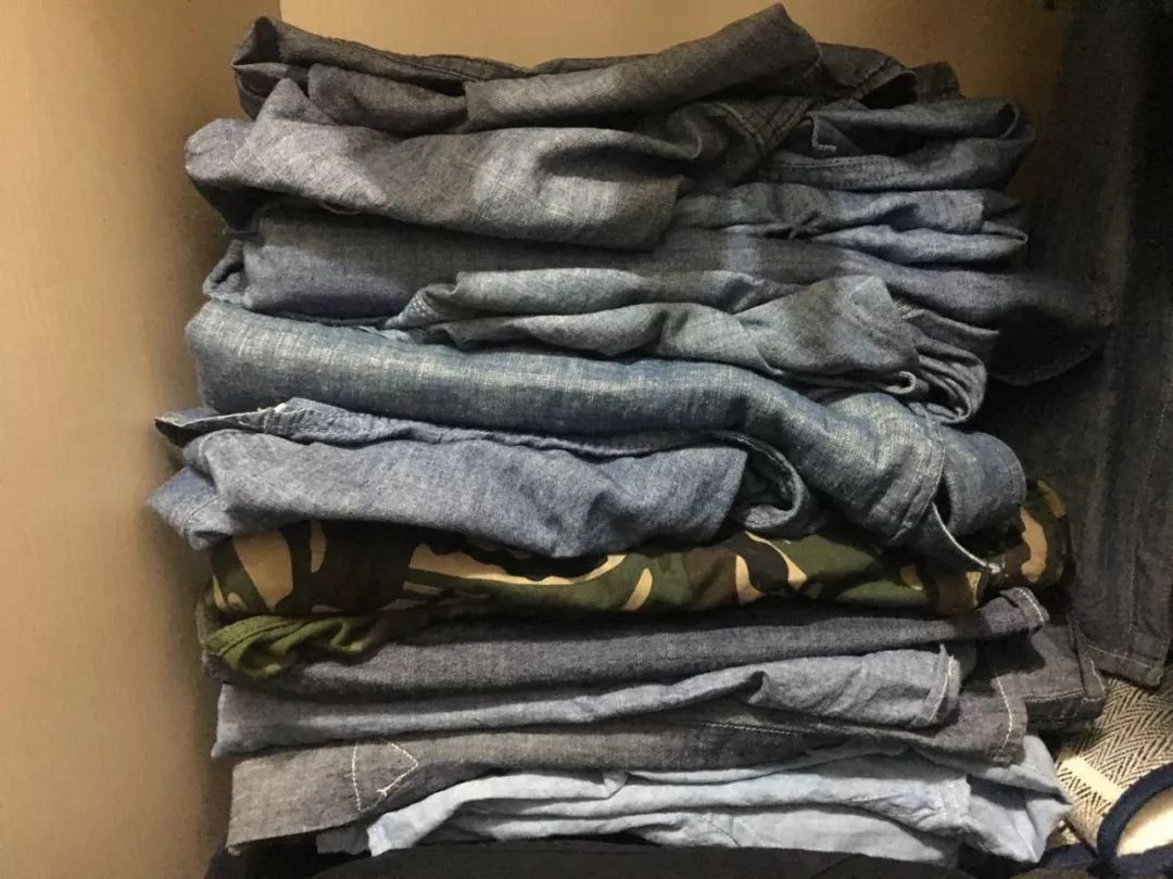 当代人的第十三个属相:松鼠