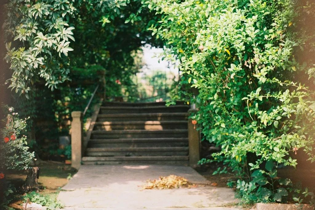 这个夏天我们再邂逅一次厦门吧,这个夏天想跟你再去一次厦门