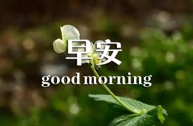 关于早安的句子唯美图片带字,早安语录唯美带字图片