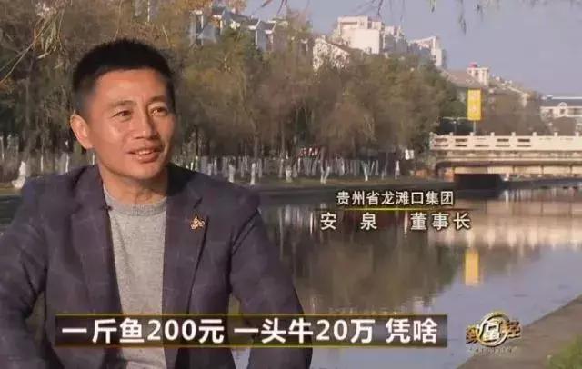 一斤鱼卖500元视频,一斤鱼卖十块五万斤多少钱