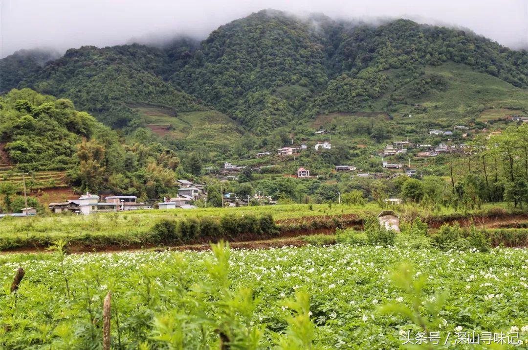 深山寻味｜远赴镇康，遇见一个不一样的木场乡