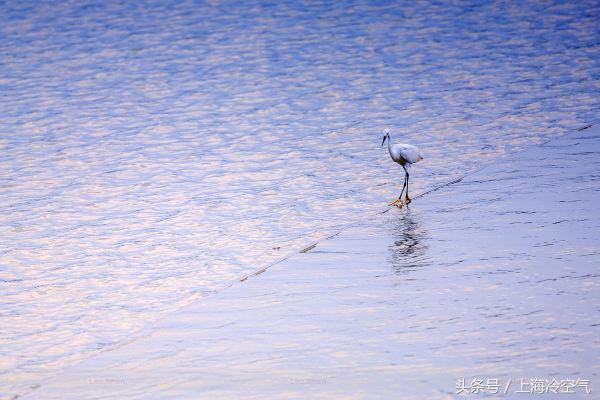 在向往的城市生活,启东向往的生活