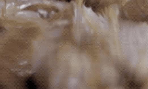 皮皮虾别再水煮了，这才是正确吃虾的方法，很多人都做错了