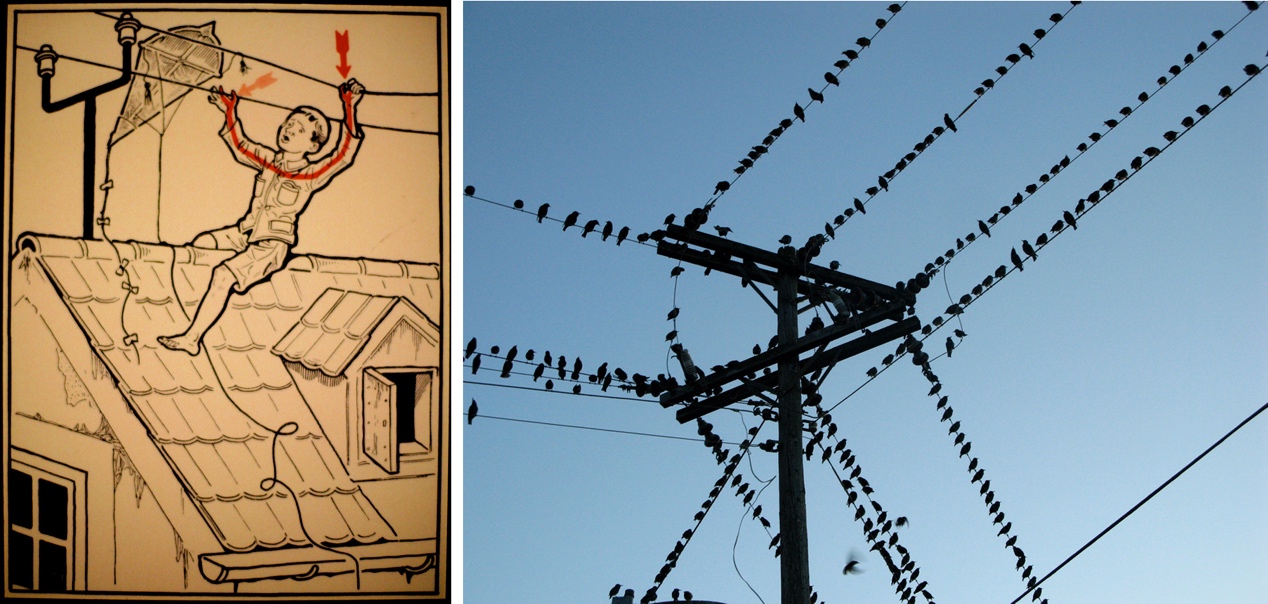 暴雨天气预防雷击安全知识,暴雨雷电安全