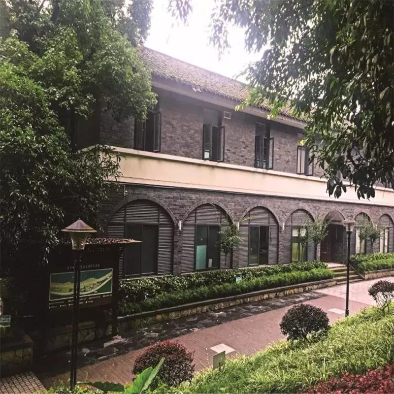 “想不红都难”系列：欢迎全世界的朋友来渝中蹭网