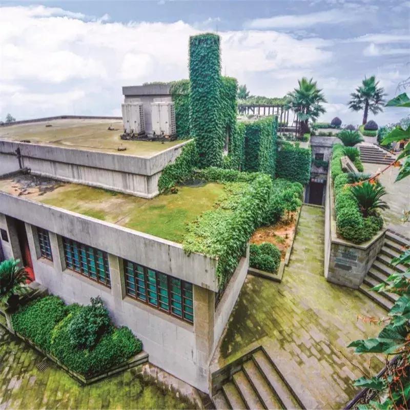 “想不红都难”系列：欢迎全世界的朋友来渝中蹭网