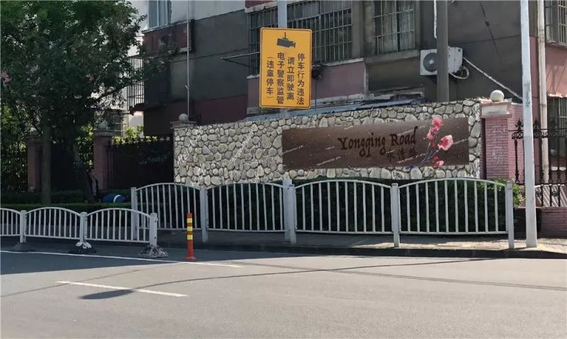 宝山最美的樱花路,宝山浪漫樱花路图片