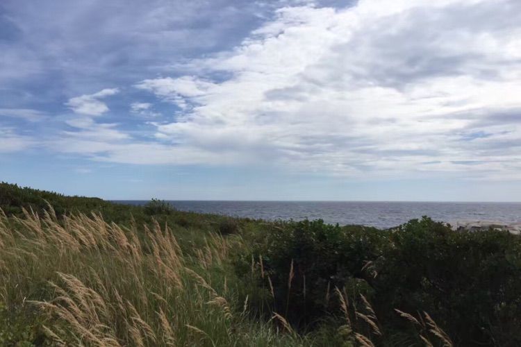 八位佳人在远方——初中闺蜜团加拿大游之美好印记