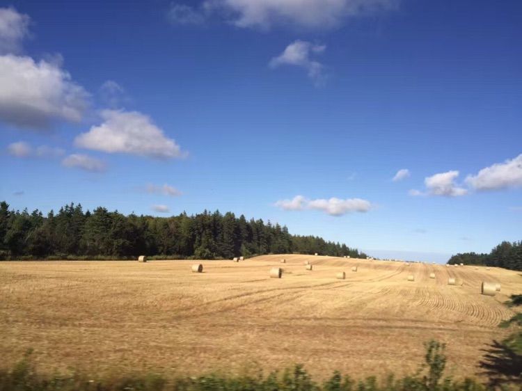 八位佳人在远方——初中闺蜜团加拿大游之美好印记