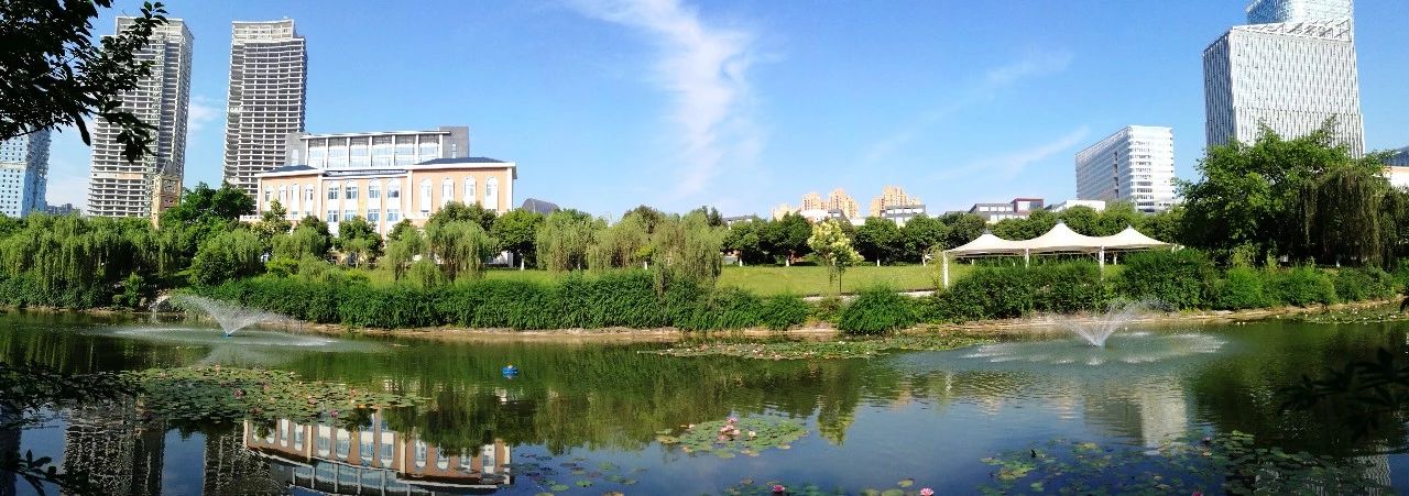 美视国际执行董事陈颀：办良心教育！让中国人在世界舞台上不逊色