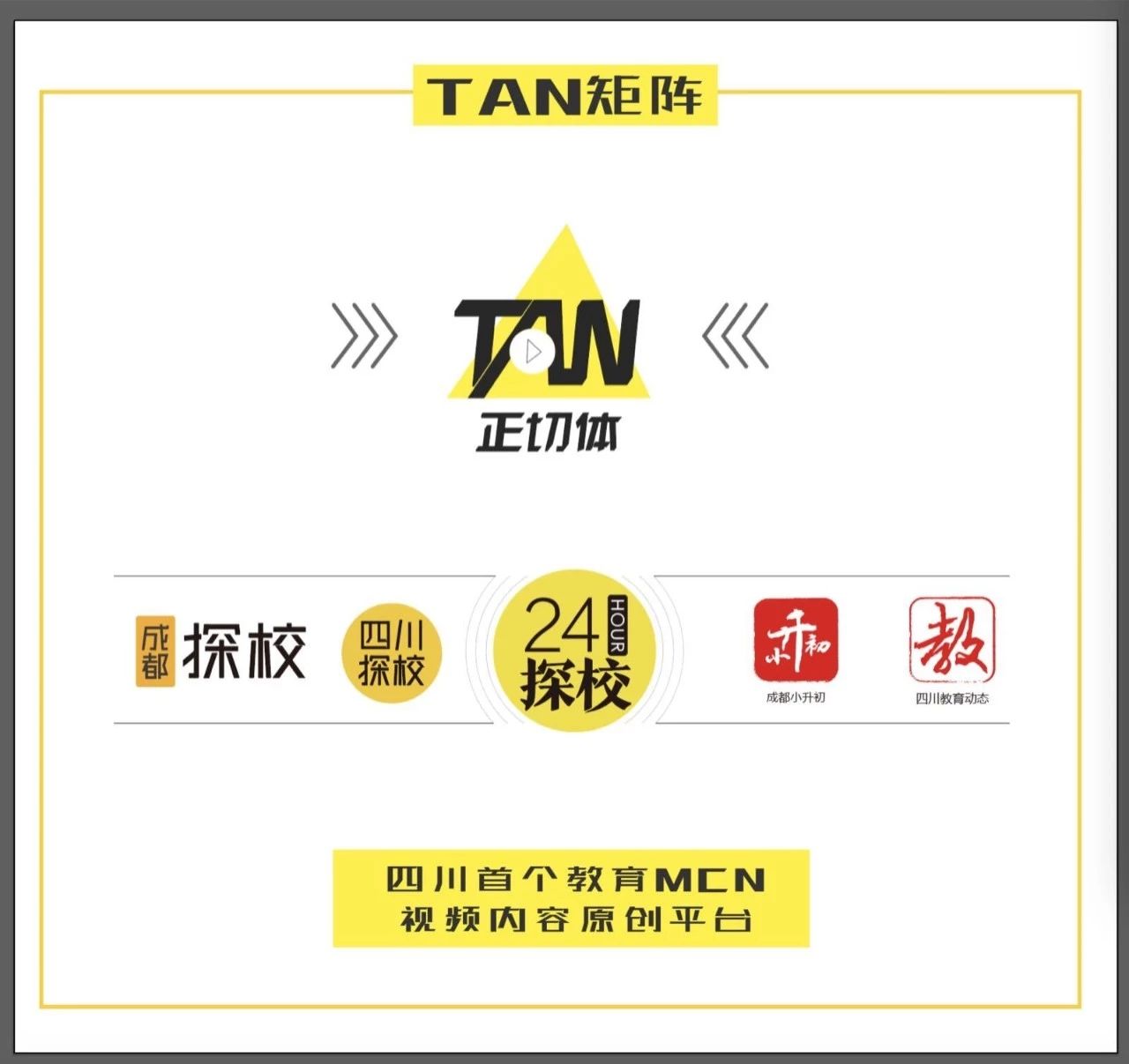 美视国际执行董事陈颀：办良心教育！让中国人在世界舞台上不逊色