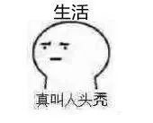 杭州it男,杭州it男视频