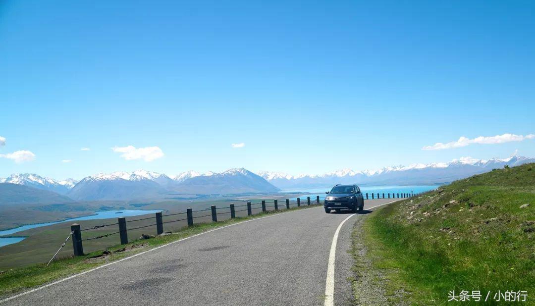 新西兰温泉旅游景点,新西兰普卡基湖旅游攻略