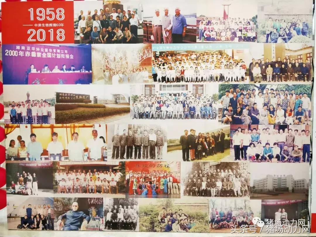 成立60周年的中岸生物,未来如何打造共生进化生态圈?