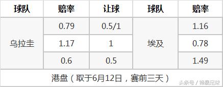数据分析世界杯最强11人,世界杯32强解析埃及