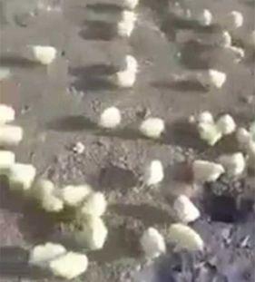 美防长宣称坚定与台合作、为台提供必要军备，国台办怎么回应？