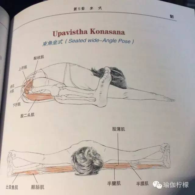 为什么练不好轮指,零基础练坐角式