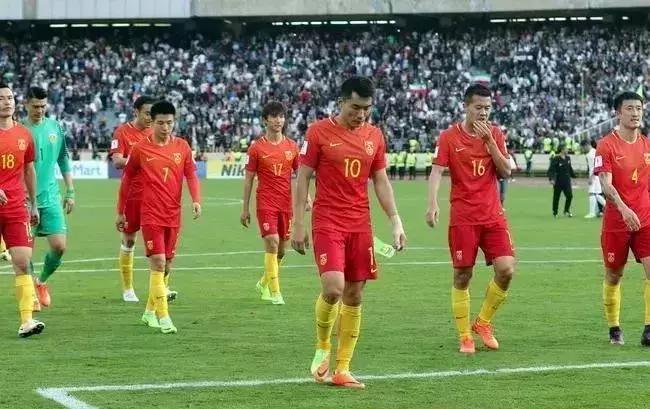 世界杯球迷观赛指南最新,伪球迷的观赛指南