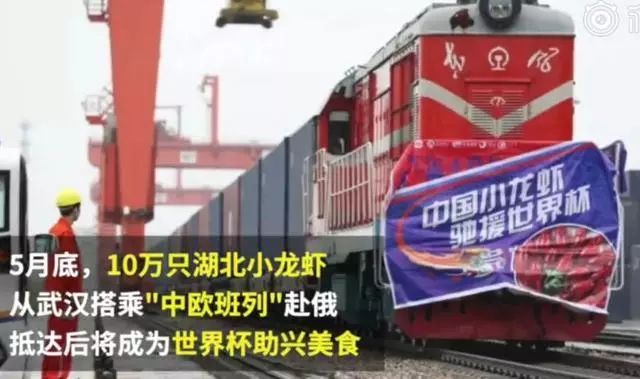 世界杯女朋友必备须知,世界杯期间合格女友行为指南