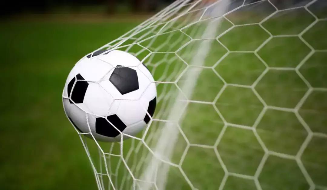 没想到,代替国足“征战”世界杯的,是10万只小龙虾……