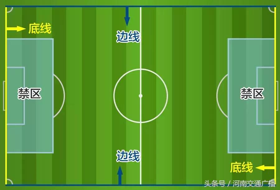 足球小白入门知识赌球,足球小白看懂球赛