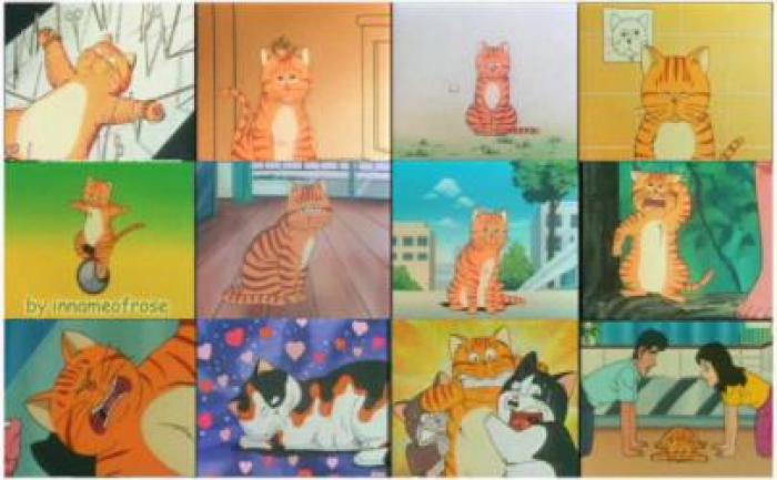 90后童年回忆动画片变形金刚,9000后童年回忆的动画片