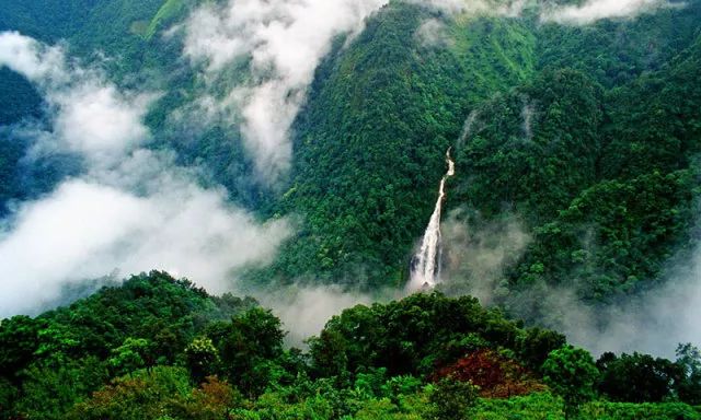 两公布一提示|端午情浓玉溪交警为你送上“平安粽”