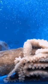 济南这家自带光环的店，五大福利解锁世界杯看球新姿势！