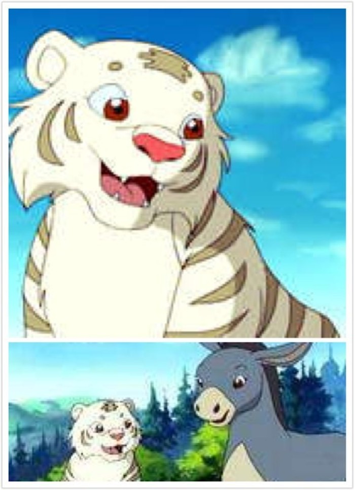 90后童年回忆动画片变形金刚,9000后童年回忆的动画片