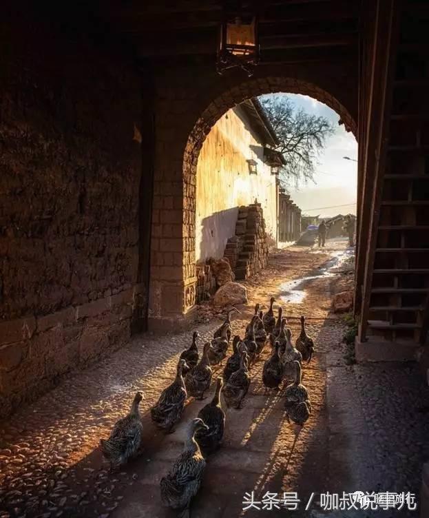 江苏古镇景点排名前十名,江苏最全古镇清单