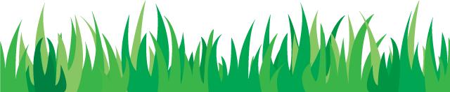 「今晚开怼」看了这份世界杯指南三分钟后我打入了真球迷内部