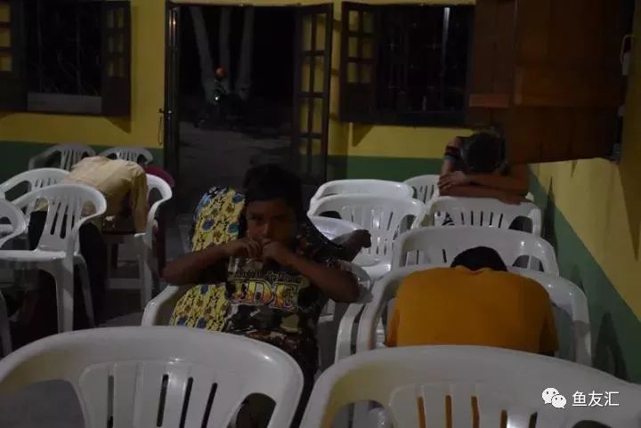 特隆贝塔如何饲养,特隆贝塔半皇与红彩区别