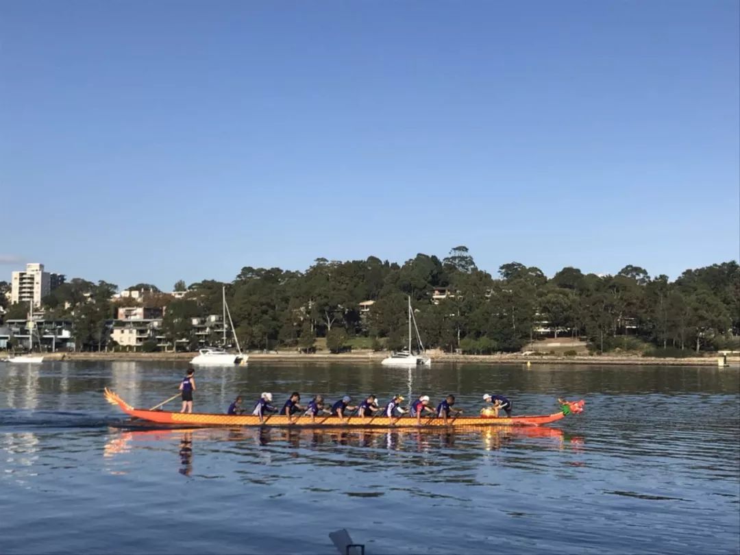 我在悉尼买龙舟,天猫下单解乡愁