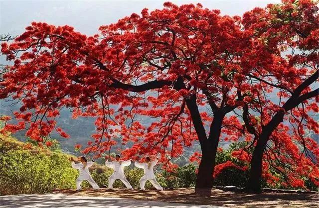 新华社攀枝花,新华社三亚